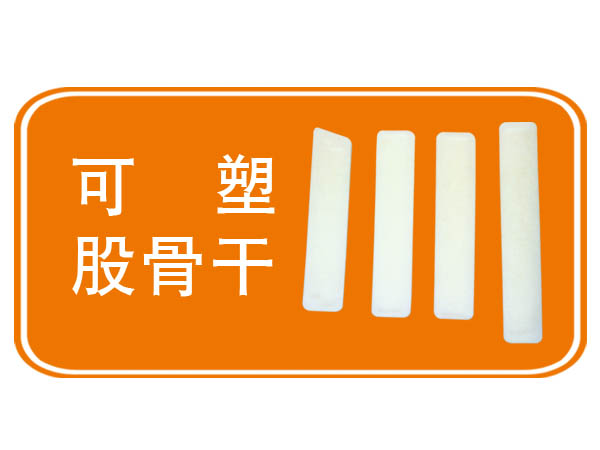 可塑股骨干